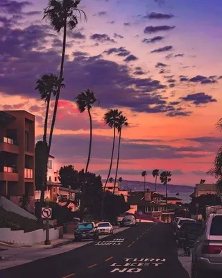 Los Angeles vibes | California wallpaper, Sky aesthetic, California palm  trees