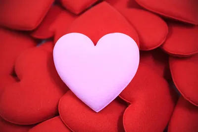 What is love – and is it all in the mind? | Relationships | The Guardian