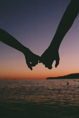 Free Images : sky, water, cloud, wing, holding hands, gesture, hand,  sunset, interaction, atmosphere, love, calm, seabird, horizon, stock  photography, happy, sea, landscape, flight, evening, bird, meteorological  phenomenon, gull, wave 3269x4903 - -