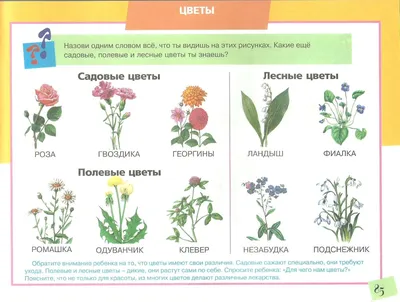 Картина\"Луговые цветы\" купить в интернет-магазине Ярмарка Мастеров по цене  2700 ₽ – T33GSRU | Картины, Тамбов - доставка по России