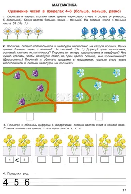 Полевые цветы примула и ирисы полевые цветы