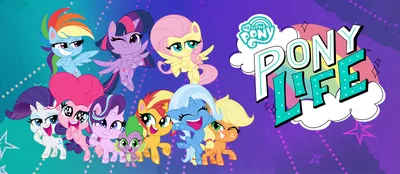 Аниматоры Пони (My Little Pony) на детский праздник в Москве от 4500 ₽  АрчиШоу