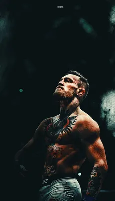 Conor McGregor iPhone Wallpapers - Top Free Conor McGregor iPhone  Backgrounds - WallpaperAccess