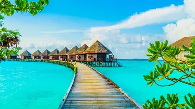 Beach in the Maldives - Mobile Abyss