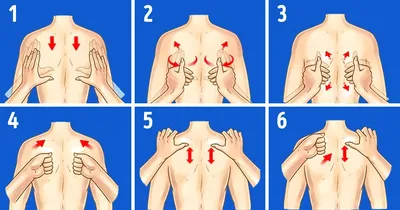 Массаж спины техника в картинках