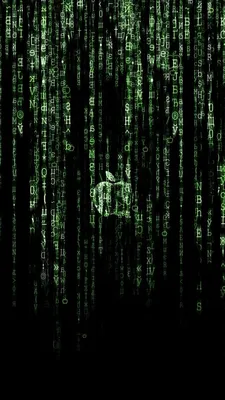 The Matrix Apple Wallpaper HD 4K for Mobile Android iPhone Check more at  https://phonewallp.com/the-matrix-apple-wallpaper-hd-4k… | Обои для iphone,  Разное, Матрица