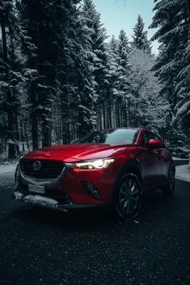 Mazda 3 BL с пробегом: очень надёжный автомат и нежная система охлаждения -  КОЛЕСА.ру – автомобильный журнал