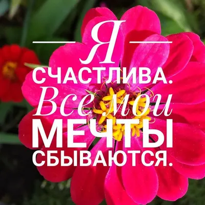 Мечты сбываются, нужно только очень верить, Владимир Николаевич Жиров –  скачать книгу fb2, epub, pdf на ЛитРес