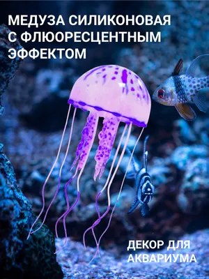 Медуза: изящная красота и опасность водного мира | Удивительный мир 🌍 |  Дзен