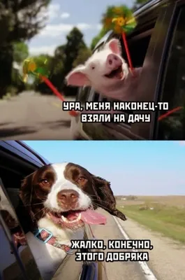 Мемы в РКИ - Memes and other visuals in Russian language teaching | Facebook