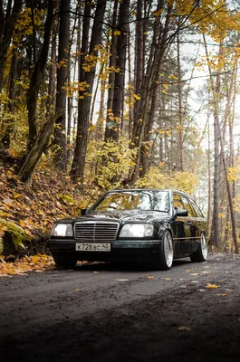 На телефон обоина))) — Mercedes-Benz E-class (W124), 2,3 л, 1987 года |  аксессуары | DRIVE2