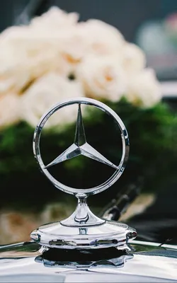 Pin by Anurut on CAR | Mercedes benz wallpaper, Mercedes logo, Mercedes  wallpaper