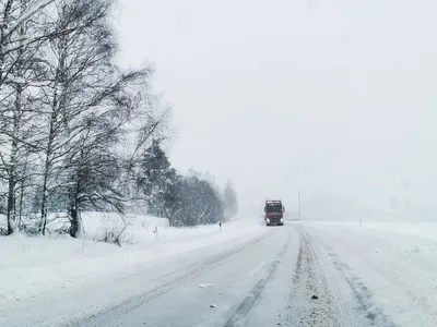 Метель.. Фотограф Тамара