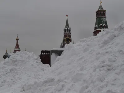 метель / смешные картинки и другие приколы: комиксы, гиф анимация, видео,  лучший интеллектуальный юмор.