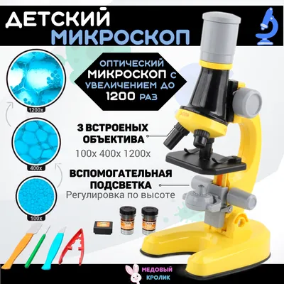 Микроскоп школьный Микромед Эврика 40х-320х инвертированный (фуксия) купить  в интернет-магазине Альтаир.ру, цена: 6 630 руб. Доставка: Москва, Россия.