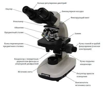 Микроскоп оптический учебный 50l plus / 1280x недорого ➤➤➤ Интернет магазин  DARSTAR