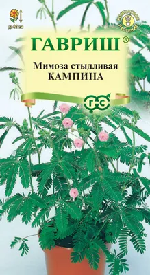 Мимоза искусственная ветка 90 см - купить искусственную мимозу интернет  магазин