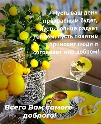 Pin by Marina on Мир позитива и Хорошего настроения! | Good morning photos,  Good morning gif, Good morning