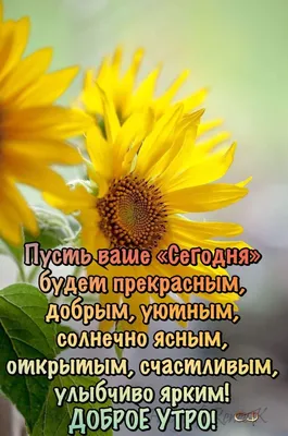 Pin by Marina on Мир позитива и Хорошего настроения! | Good morning photos,  Christian cards, Christian quotes