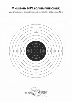 85 руб. - Купите бумажную мишень Target Face Fita 40x40 в Москве, продажа  мишеней из картона 40x40 в интернет-магазине