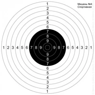 Мишени для стрельбы - скачать и распечатать на А4 - ПринтМания