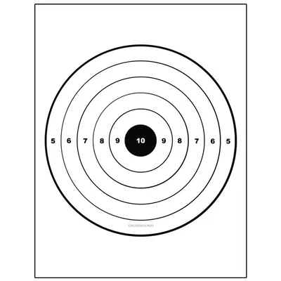Мишень для пристрелки ружей 4 спортивная М4с (10 штук) купить в Минске,  цена, обзор