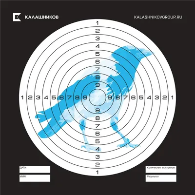 Мишени для пневматики 100 шт. / Мишень для стрельбы 14x14 см. / Мишень  пристрелочная – купить в Москве, СПб | Maket-Shop: СХП, ММГ, макеты