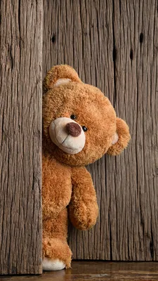 Image Teddy bear Toys boards 1080x1920