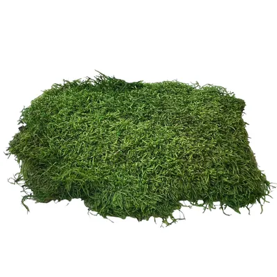 Мох Пласты, упаковка 0,5Кг/ Moss-Flat (Mousse) 0.5 Kg зеленый - 23 -  SPECIALGREEN