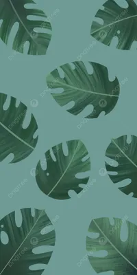 Summer Green Big Leaf Mobile Phone Wallpaper Background Wallpaper Image For  Free Download - Pngtree