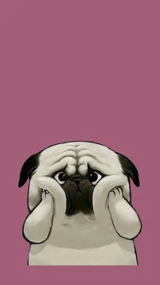 Funny wallpaper iPhone | Pug wallpaper, Dog wallpaper, Cute dog wallpaper