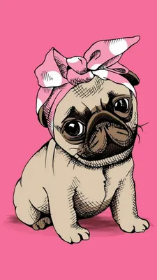 Pin de 👑 em Wallpapers | Cães pugs, Papéis de parede engraçados, Pugs  engraçados