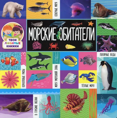 Морские коньки