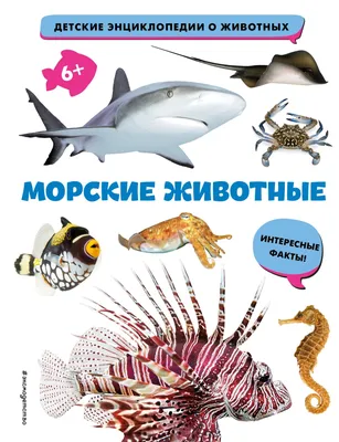 Обои на рабочий стол Морские звезды и ракушки лежат в песке на берегу моря,  обои для рабочего стола, скачать обои, обои бесплатно