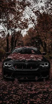 Pin by Ната Гулиева on Обои,фоны,рисунки для телефона. | Bmw, Bmw iphone  wallpaper, Bmw m5