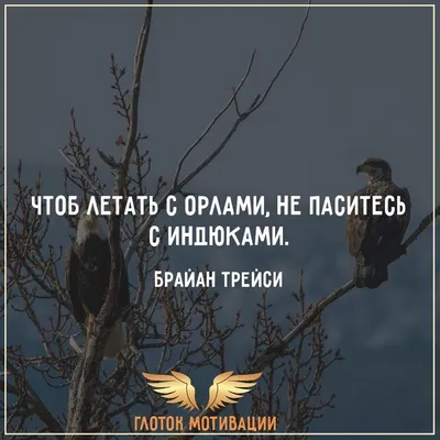 Мотивирующие цитаты