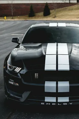 Pin by Slickfish66 on Ford Car Fashion | Mustang shelby, Mustang cars, Ford  mustang car