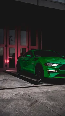 Обои на телефон ford mustang, спорткар, вид спереди, черный, деревья -  скачать бесплатно в высоком качестве из категории \"Машины\"