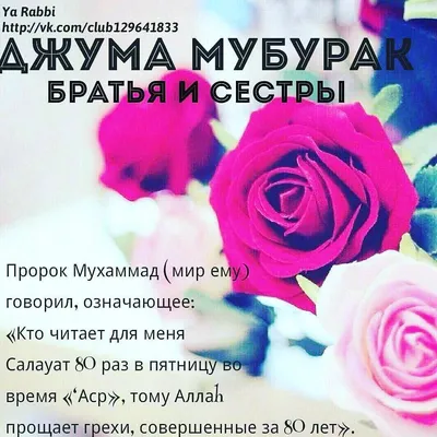 АССАЛАМУ АЛЕЙКУМ МОИ ДОРОГИЕ ❤️ У МЕНЯ ДЛЯ ВАС ХОРОШАЯ НОВОСТЬ 🥰 ... |  TikTok