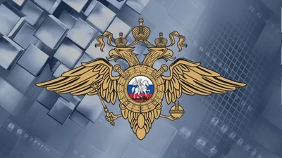 МВД России «Гусь-Хрустальный» об...