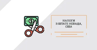 Какие налоги платит ИП в Польше? Налогообложение ИП.