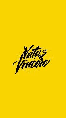 Natus Vincere Wallpapers - Wallpaper Cave