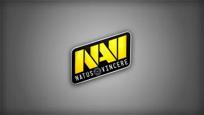 Постер (плакат) natus vincere, navi, krass , арт.: 20529