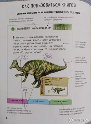 Картинки виды динозавров с названиями (39 лучших фото)