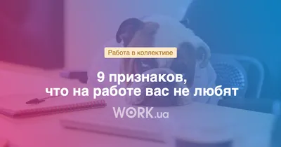 Тест, который поможет лучше понять себя и выбрать подходящую профессию —  Work.ua