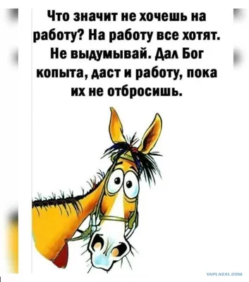 Не хочу на работу... | Пикабу