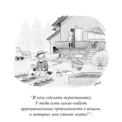 Котоматрица: 0_0 гди орЭхи?! ты не обижайся я наглая крыса их згрызла! те  капец!