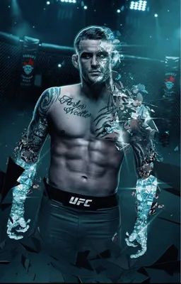 обой для фанатов ufc｜TikTok Search