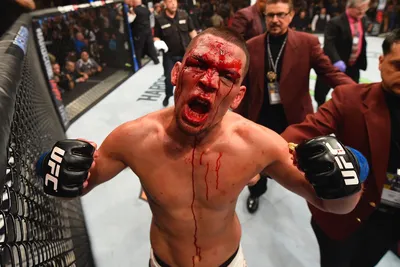 Нейт Диаз (Nate Diaz) статистика, фото, бои Диаза в UFC - сколько поражений  и побед