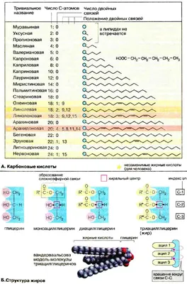 Геометрический Бесшовный Узор Векторный Фон С Абстрактной Текстурой Линии  Нейтральные Монохромные Обои Чернобелый Простой Светлый Лин — стоковая  векторная графика и другие изображения на тему Абстрактный - iStock